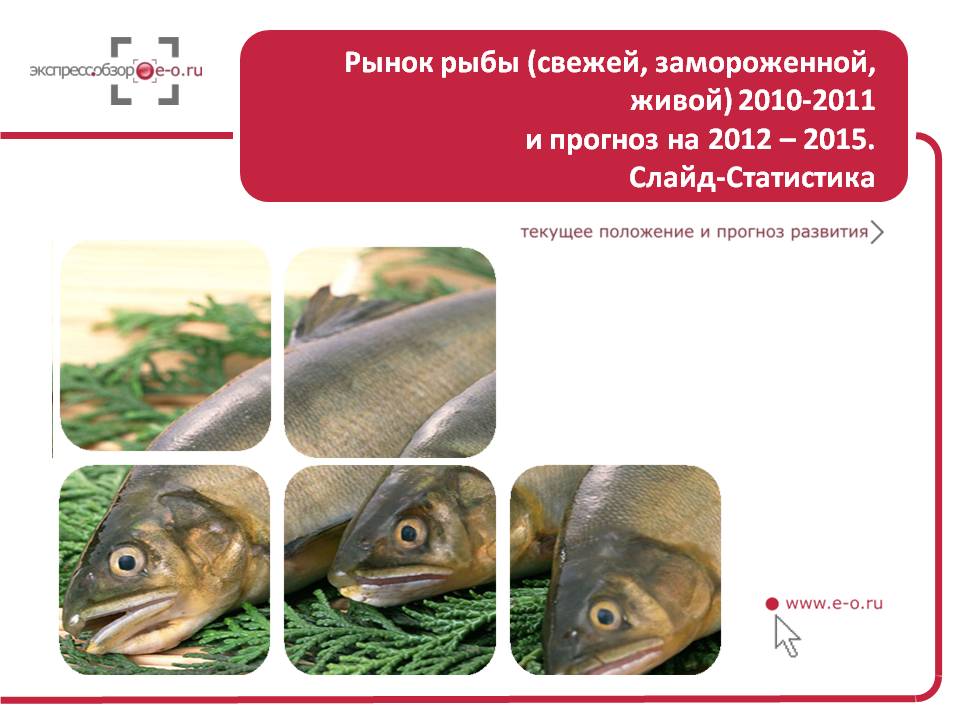 Исследование рынка рыбы в России